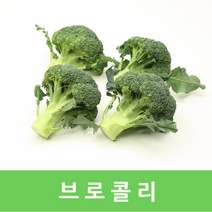 국내산 브로콜리8kg 면역력향상에좋은슈퍼푸드, 국내산 브로콜리(보통)8kg