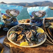 [전남완도] 프리미엄 특 사이즈만 선별한 완도산 활전복 1kg (10-11미), 1개, 1kg(8-9미)