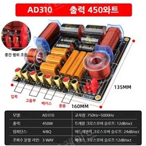 2WAY 하이엔드 스피커 네트워크, AD310(금속 저항) 1개