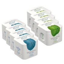벨라민츠 화이트 페퍼민트 & 스피아민트 무설탕 껌 2종 40g 8팩