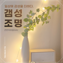 [8차 재입고] 갬성조명 차박조명 차박전구 앵두전구 인테리어 전구 크리스마스 전구 꼬마전구 차박용품 감성캠핑 감성캠핑조명, 1개, 10m 80구