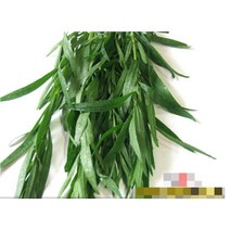 생잎[fresh] - 타라곤생잎(50g) 2개 (L0504)