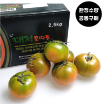 부산 짭짤이 대저토마토 고당도 대저짭짤이 토마토 2.5kg, 대저 짭짤이 토마토 2.5kg 2S-S