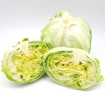 의령농산 건강 채소 국내산 통 양상추, 국내산 양상추 1kg, 1개