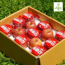 애플진 GAP 세척사과 껍질째먹는 환경친화적인 안동 햇사과 세트 사과유명한곳 3kg