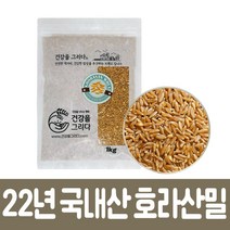 22년산 햇곡 국산 호라산밀1kg 셀레늄의제왕 저당잡곡 다이어트 당뇨에좋은잡곡 이집트왕의밀