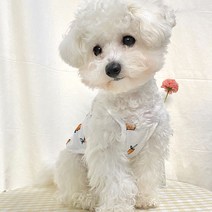 데댕 편한 모과나시티 강아지옷, 1.베이직끈나시