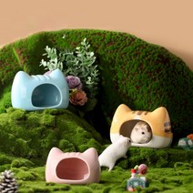부켓 고양이 은신처, 골든용 블루