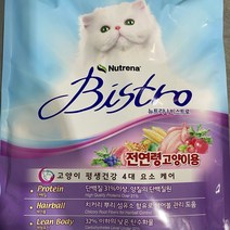 뉴트리나 비스트로 고양이 사료 6kg 300gx20봉 _ 301998EA, 본상품선택