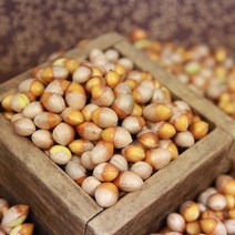 국산 고소한 은행 깐은행 피은행 500g 1kg, 피은행 대 1kg