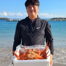[선주직판] 제철 홍게 대게 자숙 3kg 수율보장 사나이수산, 03_프리미엄 홍게 3kg 10~13마리