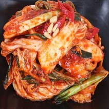 올댓리빙 맛있는 국내산 강원도 김치 겉절이김치 5kg, 1개