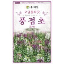 대엽 민들레 1000립 - 야생화 씨앗 꽃씨 씨 꽃씨앗 야생화씨앗 고급꽃씨 고급꽃씨앗 민들레씨 민들레씨앗, 20_다농_풍접초(혼색)(0.5g)