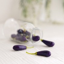미니 가지 모형 10P (6cm)