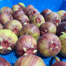 [산지직송] 무농약 냉동 무화과 1kg 2kg 청무화과 우수관리인증 건무화과 400g, 손질된 잼용 4 kg(냉동)