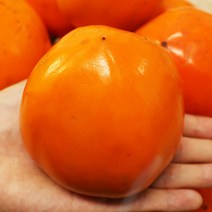 대봉감 대봉감홍시 대봉감 10kg 5kg, 대봉감 5kg 15-20과