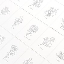 모노 플라워 엽서, 08 튤립