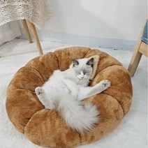 견우와묘녀 고양이겨울쿠션 오렌지말랑쿠션 고양이방석 강아지 방석 쿠션 모찌
