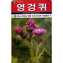 엉겅퀴씨앗100립 엉겅퀴씨앗, 1개