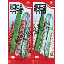 적작두콩씨앗10립 백작두콩씨앗10립 토종콩종자 경신씨앗, 적작두콩5립