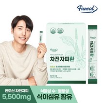 퍼니트 공식스토어 퍼니트 식이섬유 차전자피환 30포 1박스(15일분), 단일옵션