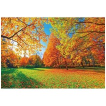 가을 분위기 소품 장식 인테리어 단풍나무 숲 사진 배경 자연 풍경 떨어지는 나뭇잎 창 강 스튜디오, 193.Vinyl 270x180cm - NKY04301