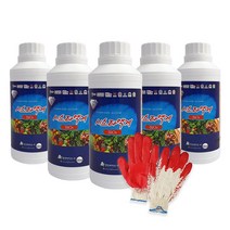 시스타액제 500ml x 5병 수용성규산염 유기농 영양제 규산나트륨 항공방제드론방제 수도작 포도나무비료 샤인머스켓 포도 딸기 벼 고추