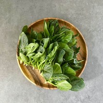 국내산 싱싱 시금치 4kg 2kg내외, 1BOX, 04_시금치 2kg내외