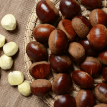 공주밤 정안 알밤 고맛나루밤 밤농장 100년 맛밤 햇밤, 특대800g, 1개