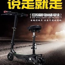 어른 초경량휴대 대리운전 스쿠터 2개휠 걷기대신 차남 전동킥보드, C01-24V, T02-하늘색