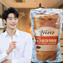 칸타타 아이스 카라멜마키아토 230mlx10팩