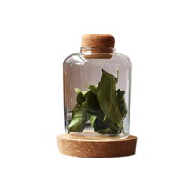 인블룸 1+1 코르크마개 데코 유리병 500ml, 1+1세트