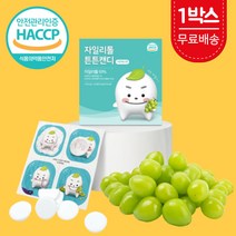 자일리톨 튼튼캔디 핀란드 천연 자이리톨 자일스톤 덴티캔디 아기 유아용 어린이 맛있는 양치 충치예방 무설탕 무가당 캔디 사탕 스톤 간식 청포도 샤인머스켓 낱개포장 60정, 튼튼캔디 1박스