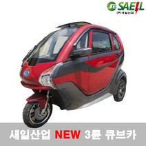 새일산업 3륜 큐브카 전동차 보조차량 전기차