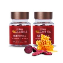 [AKMALL][바디시그널] 레드프로폴리스 500mg x 60캡슐 2병 (2개, 단품, 색상:레드프로폴리스 2병