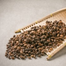 신토불이 국산 약초 도꼬마리(창이자) 300g, 12XP_국산도꼬마리(창이자)300g