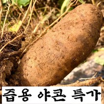 구씨아줌마 국내산 경북봉화 2022 햇 야콘 햇야콘 생야콘 특상품 즙용 1kg 3kg 5kg 10kg, 특상품 야콘