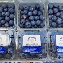 칠레산 생 블루베리, 블루베리 1.5kg (125g X 12팩)