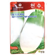 천수무 씨앗 2000립, 1개