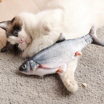 반려동물 움직이는 캣닢 물고기 충전식 고양이 장난감 대형, 잉어