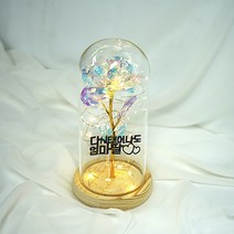 굿라이프 크리스탈 장미 무드등 홀로그램 LED 장미 유리돔 무드등 꽃 우드받침대 어버이날 로즈데이 100일 여자친구 선물 화이트데이 발렌타인데이 기념일 크리스마스 겨울장식, 07. 다시 태어나도 엄마 딸
