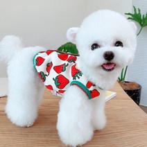 Ogfaour딸기 조끼 봄가을 강아지 고양이 털방지 소형견 테디 반려동물 슈나리베어 의류 얇음B362, 주요 도안