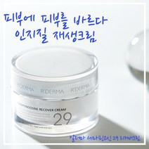 알더마 세라핑고신29 리커버 나이트크림, 1개, 50ml