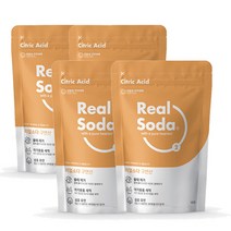 리얼소다 무수 구연산 프리미엄 4kg(1kg 4팩) 세탁 세정제 식용구연산 섬유유연제, 무수구연산 4kg(1kg 4팩)