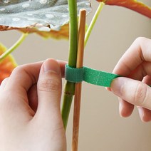 식물 벨크로 타이 고정 끈 오이 호박 고추 꽃 모종 줄기 접목 클립 집게, 15m