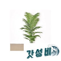 아레카야자나무 조화(180cm) / 꽃 인테리어 장식, 아레카야자나무 조화(180cm) / 꽃 인테리어 실내