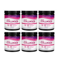 네오셀 슈퍼 콜라겐 분말형, 198g, 6통