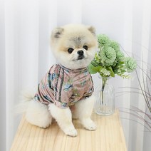 말썽쟁이여름 강아지 애견 소형견 중형견 반려견 애완견 프렌치불독 닥스훈트 웰시코기 비숑 푸들 포메 토이푸들 퍼그 댕댕이 가을 산책 데일리 옷 티 셔츠 의류 실내복 패션, 옐로우