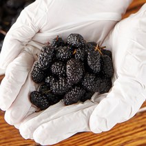 [산지직송] 국내산 햇 청일품종 오디(급냉), 10kg, 1개