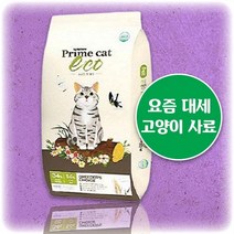 고양이 사료 반려묘 반려동물 이 가 잘먹는 뉴트리나 프라임캣 설사 안하는 냄새 안나는 곰팡이 없는 면역력 증진 도움 아기 애완 길 냥이 횟수 토 당뇨 원인 제한 급식 방법 건식, 1개입, 5kg